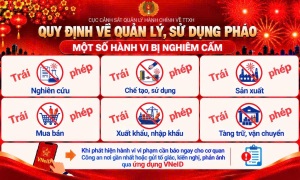 NỘI DUNG QUY ĐỊNH VỀ QUẢN LÝ SỬ DỤNG PHÁO